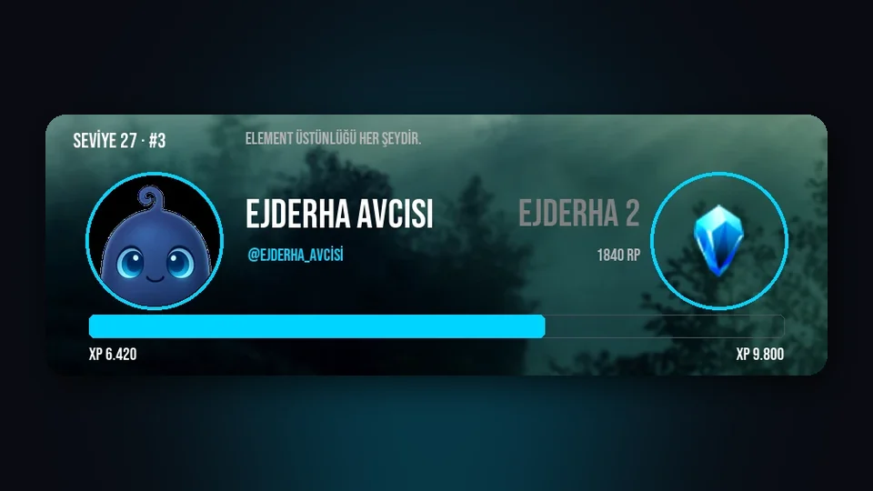 Seviye ve başarımlar